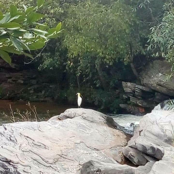 Pouso Do Rio Hotel Pirenopolis Luaran gambar